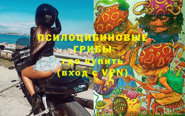 гидропоника Михайлов
