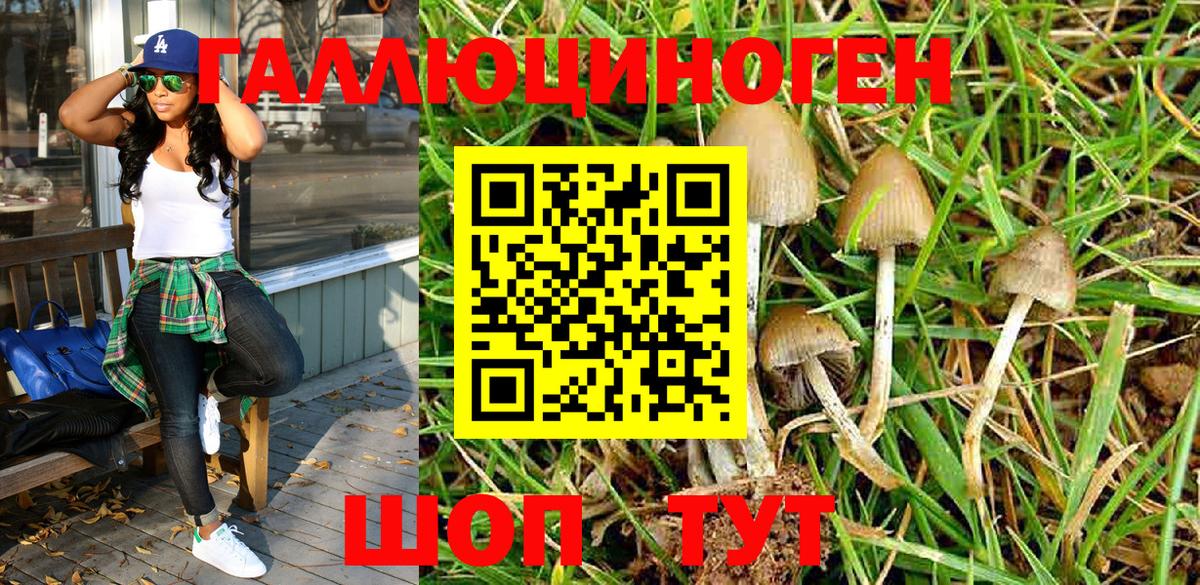 Псилоцибиновые грибы мицелий Фрязино