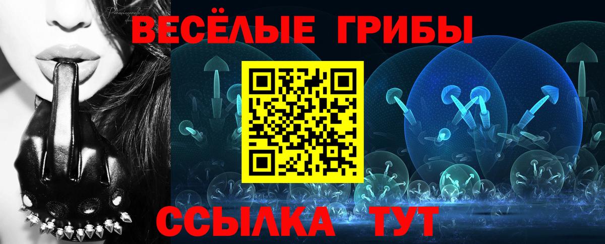 Галлюциногенные грибы прущие грибы  Псилоцибиновые грибы GOLDEN TEACHER  Фрязино  Вход с VPN 