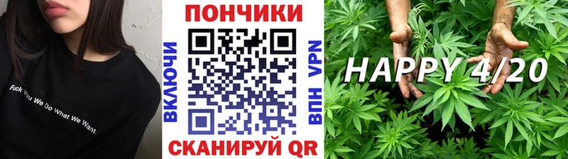 omg как зайти  Фрязино  Шишки марихуана THC 21% 